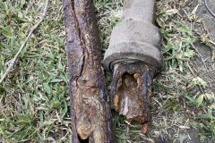 IMG_2084-scaled